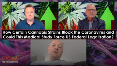 cannabis for covid interview